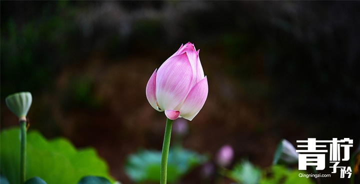 别总想着花钱，花点心思好么？